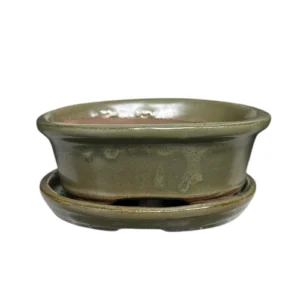 Green Oval Ceramic Pot & Tray 12cm