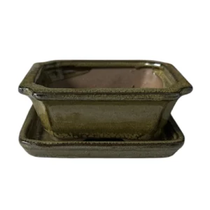 Green Rectangle Ceramic Pot & Tray 12cm