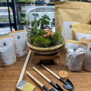Terrarium Garden Kit