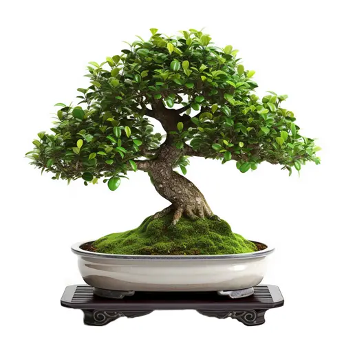 gartenbank bambus Bambus Bank Lao