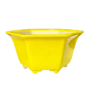 Bright Yellow Hexagon Fine Glazed Pot 12cm