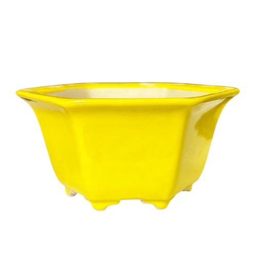 Bright Yellow Hexagon Fine Glazed Pot 12cm