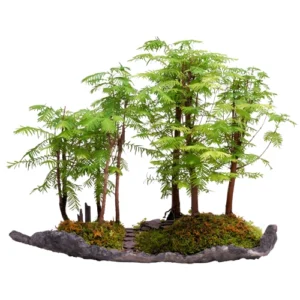 Dawn Redwood Bonsai Care Guide