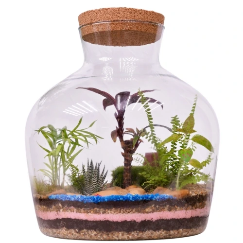 Pretty Terrarium
