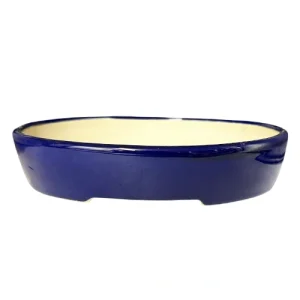 Shallow Blue Oval Fine Glazed Pot 18cm