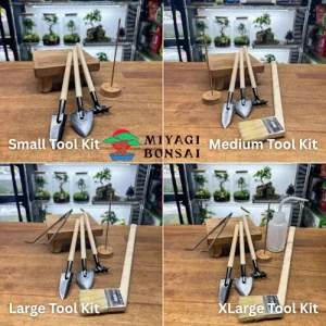 4 Tool Kit - Terrarium