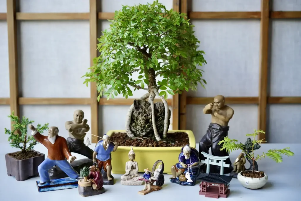 Essential Bonsai Basics That Will Make You a Better Gardener This Year