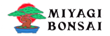 Miyagi Bonsai logo