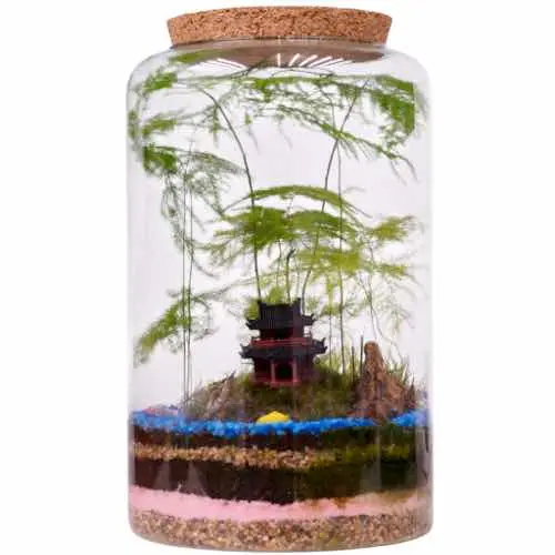 Large glass jar terrarium with a mini pavilion and fern display