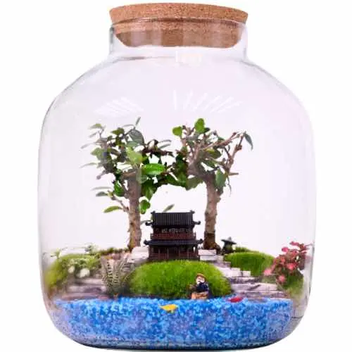 Large Glass Terrarium Garden Display Miniature Plants