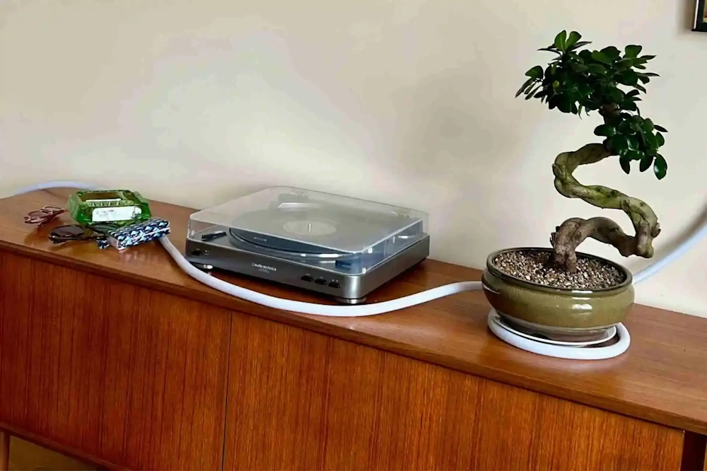 Jade Plant on Sideboard