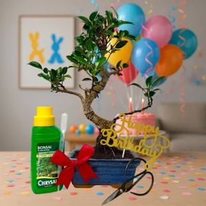 Ficus - HB Topper - Gold £40