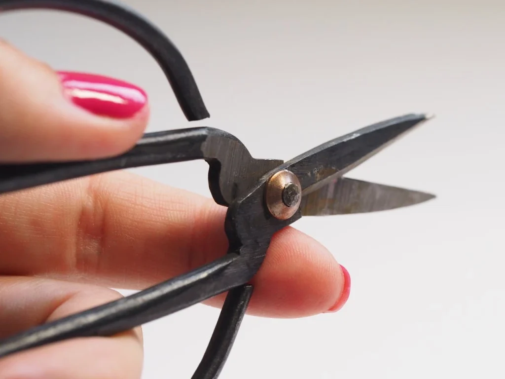 Close-up of bonsai pruning scissors with short blades and rounded handles, held between fingers with pink painted nails