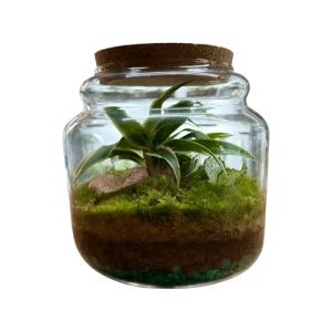 Emerald Canopy Terrarium