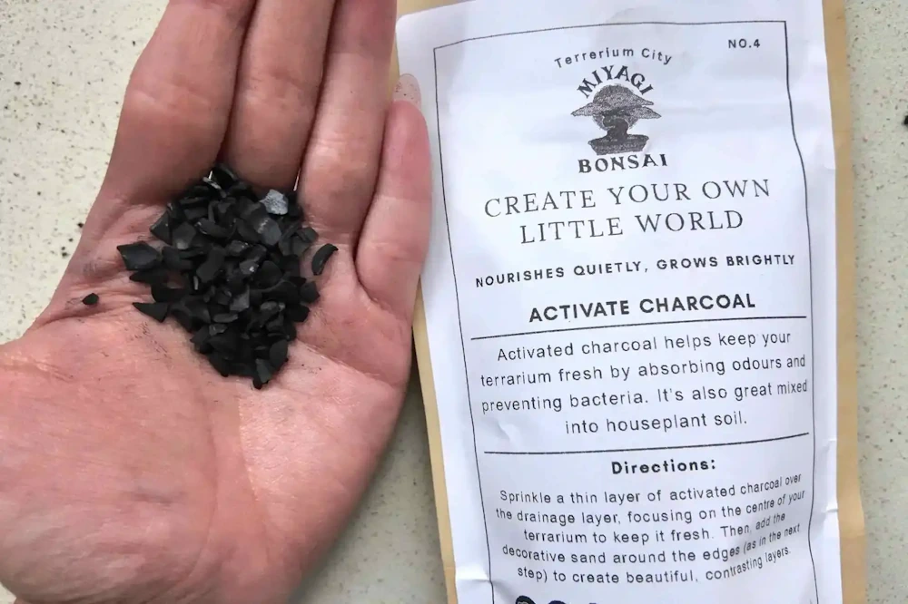 Terrarium Charcoal
