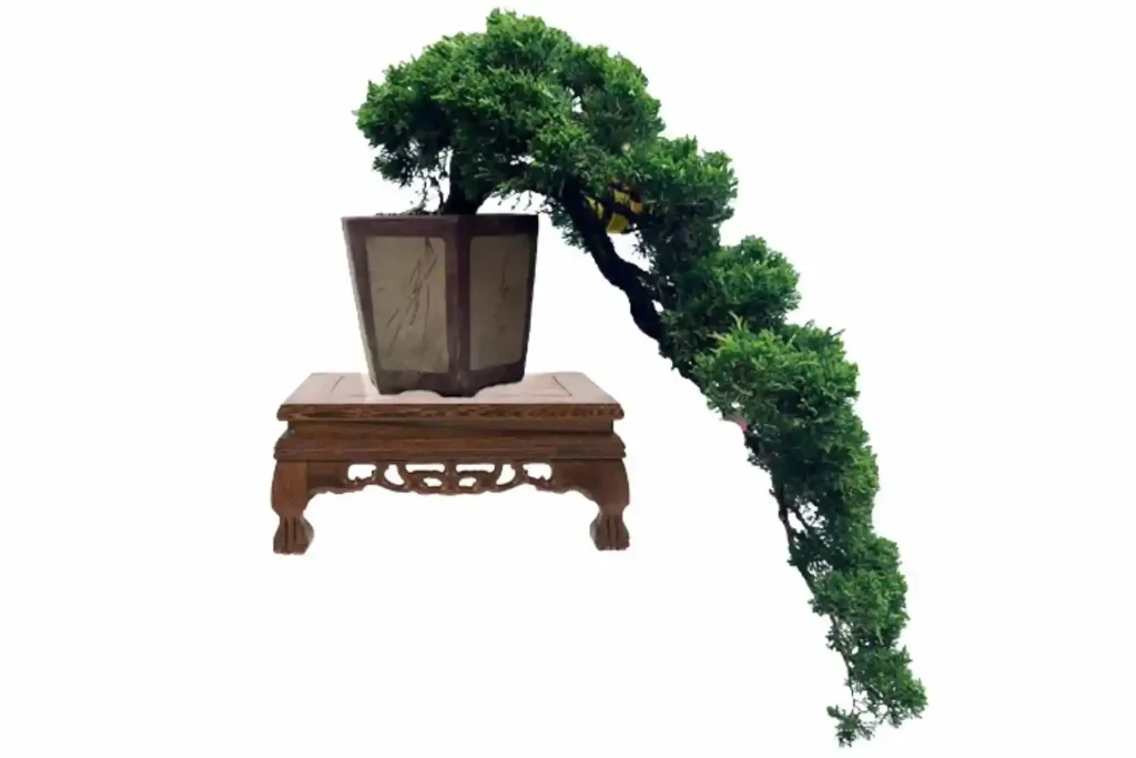 kunstpflanzen bambus Kunstpflanze Bambus 120 cm schnell günstig online kaufen