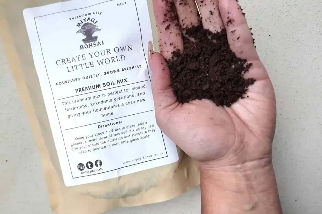 What Soil for Terrarium?