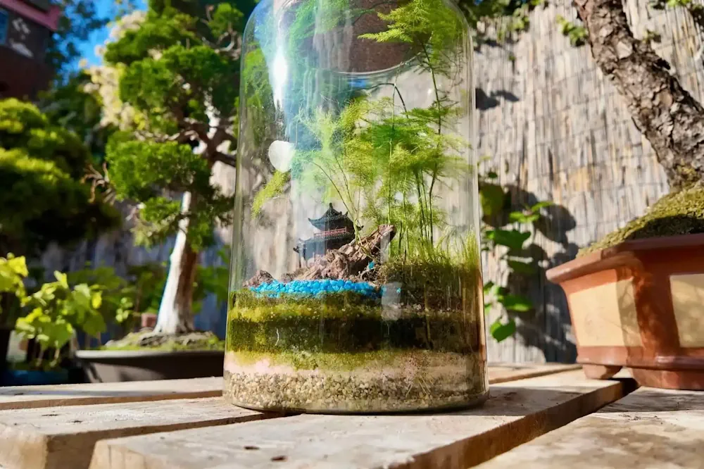 Terrarium with Mould close up