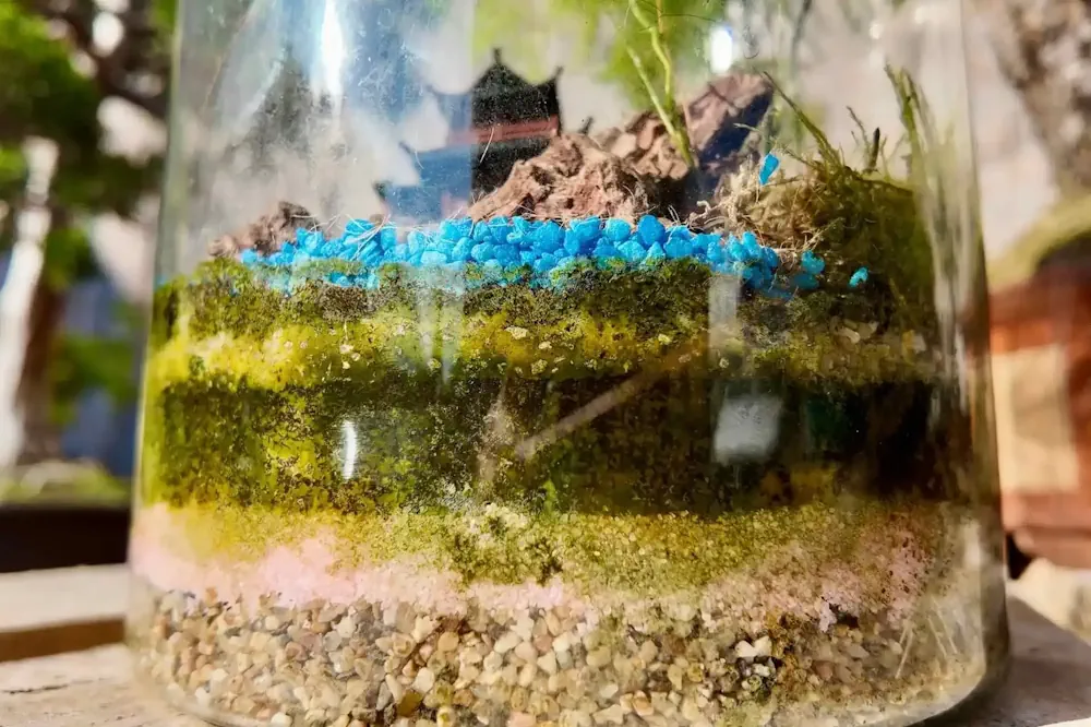 Why is My Terrarium Moulding