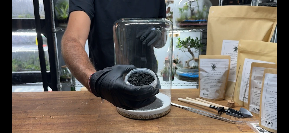 charcoal in terrarium