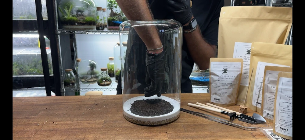 charcoal in terrarium