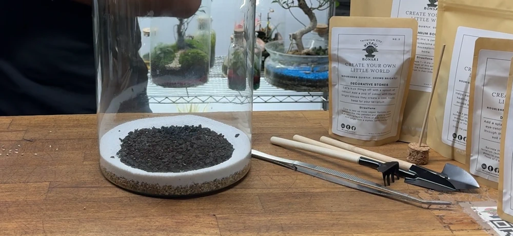 charcoal in terrarium