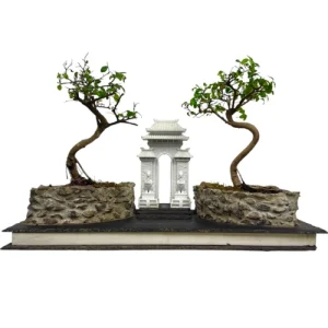 Chinese Elm Artistic Handmade Design 29cm