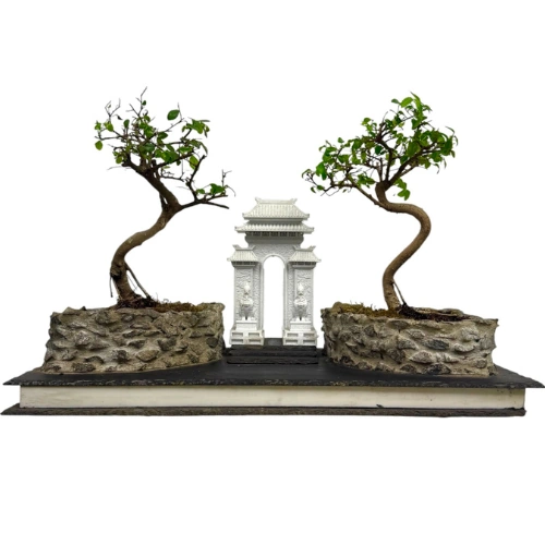 Chinese Elm Artistic Handmade Design 29cm
