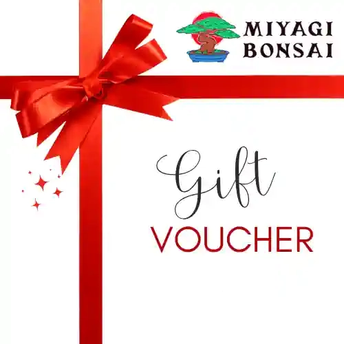 Gift Voucher