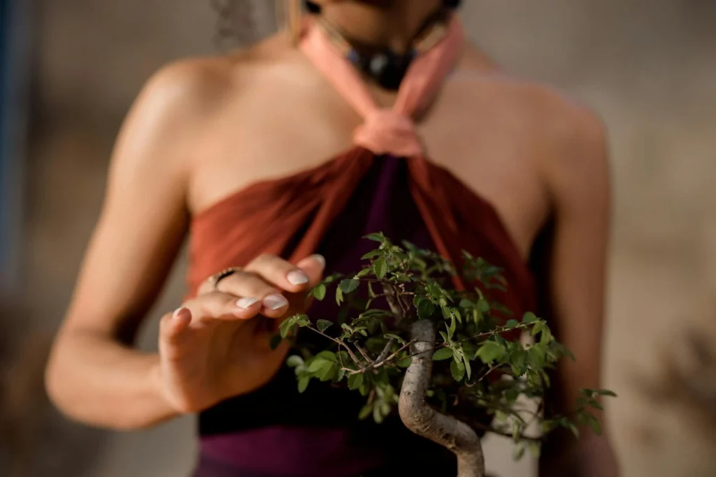 therapeutic benefits of growing bonsai