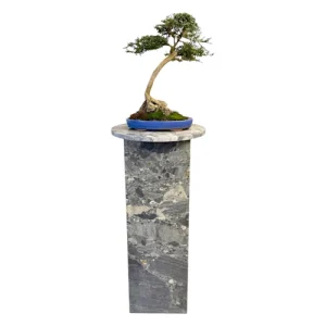 Ceppo Grey Marble Bonsai Stand 94cm