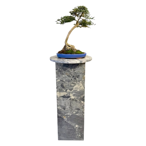 Ceppo Grey Marble Bonsai Stand 94cm