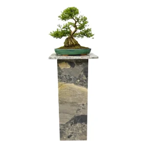 Ceppo Grey Marble Bonsai Stand 95cm