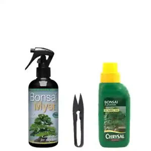 Beginners Bonsai Basics 3 Pieces