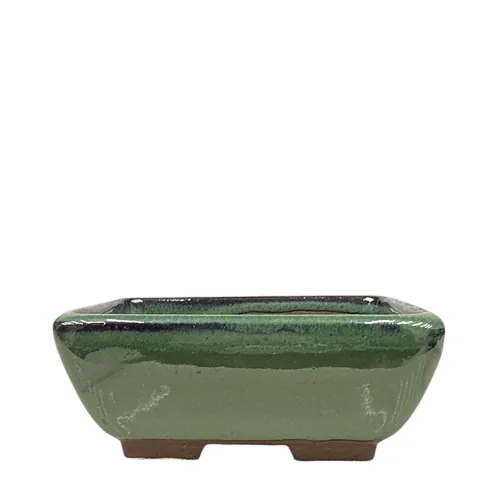Tongrae Green Rectangle Ceramic Bonsai Pot 18cm