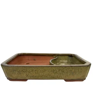 Olive Rectangle Ceramic Pot With Split Interior 26cm