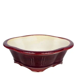 Red Lotus Fine Glazed Pot 20cm