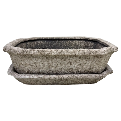 Riki Sand Grey Textured Rectangle Pot & Tray Attached 27cm