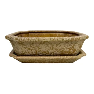 Riki Sand Honey Textured Rectangle Pot & Tray
