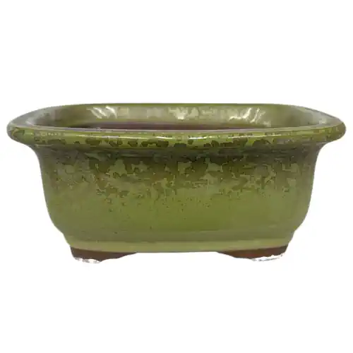Japan Green Rectangle Pot 17cm