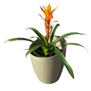 Khloris Extension Kit Metallic Sage