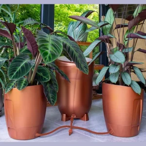 Khloris Watering System
