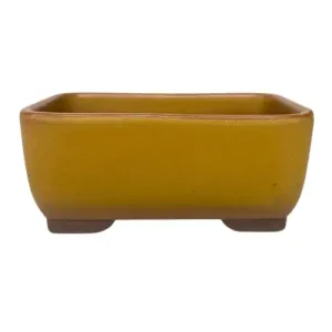 Orange Matt Rectangle Pot 13cm