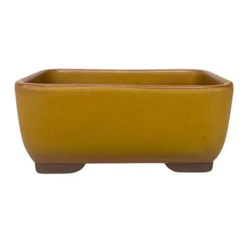 Orange Matt Rectangle Pot 13cm
