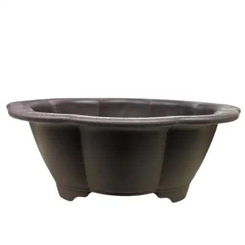 Petal Shape Training Plastic Pot 13cm