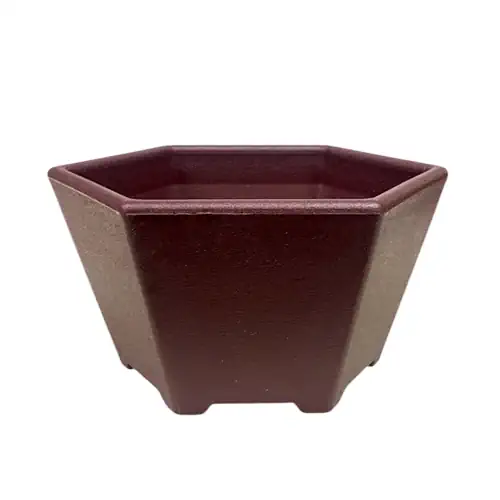 Small Hexagon Training Plastic Pot 7cm