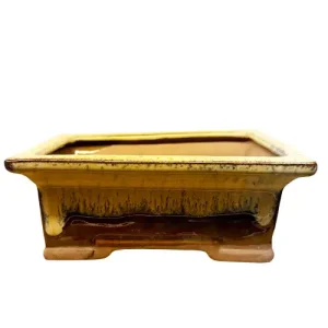 Yellow Fine Glazed Bonsai Pot 15cm