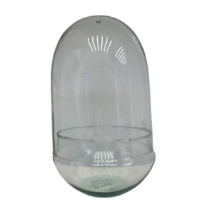 Glass Dome
