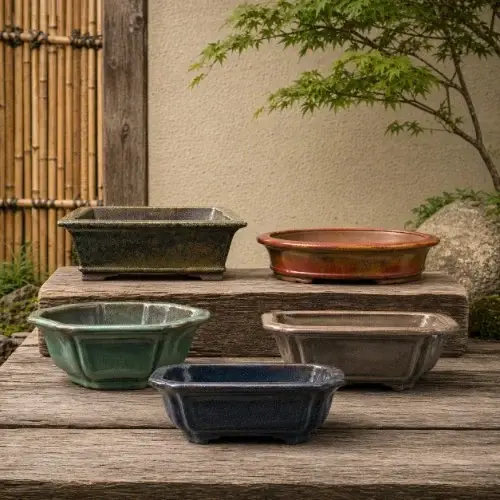 Fine Glazed Bonsai Pots Category Image