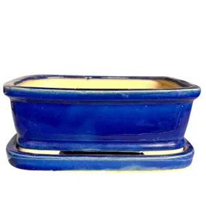 Blue Crackled Rectangle Ceramic Pot with Tray 21cm